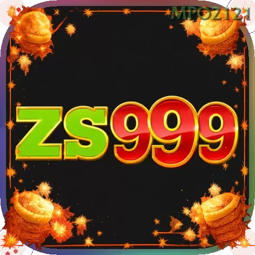 Zs999
